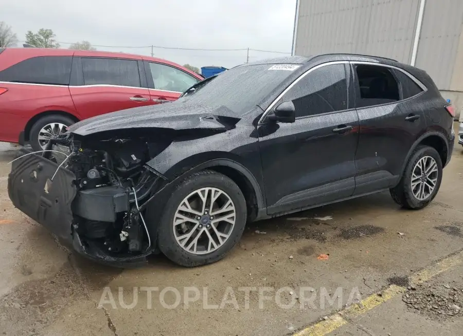 FORD ESCAPE SEL 2020 vin 1FMCU0H65LUA98784 from auto auction Copart