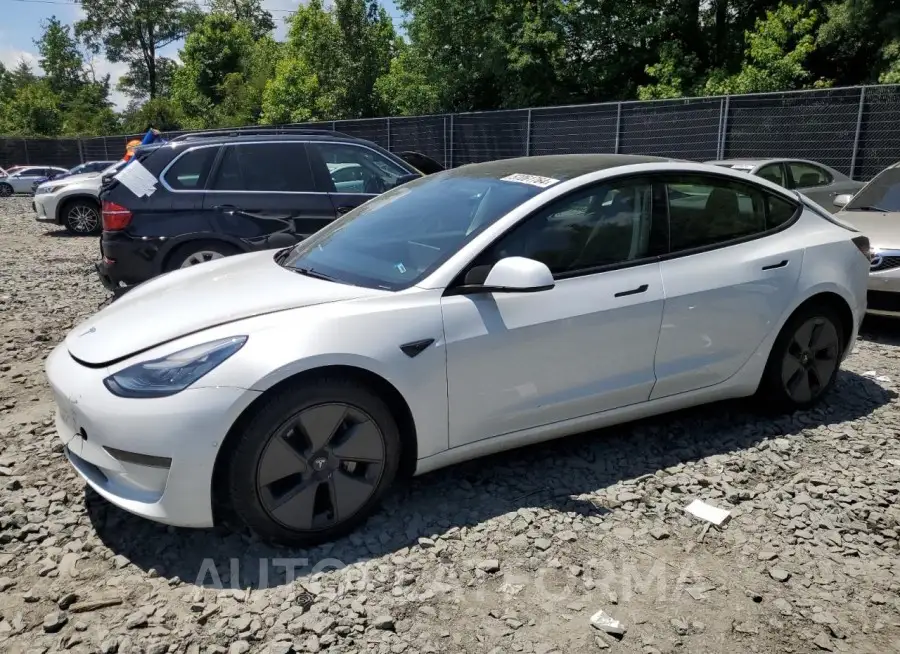 TESLA MODEL 3 2021 vin 5YJ3E1EA2MF851987 from auto auction Copart