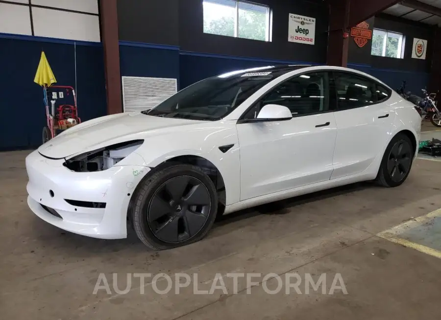 TESLA MODEL 3 2021 vin 5YJ3E1EA0MF923544 from auto auction Copart