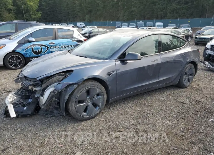 TESLA MODEL 3 2021 vin 5YJ3E1EAXMF096913 from auto auction Copart