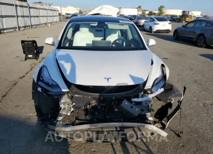 TESLA MODEL 3 2019 vin 5YJ3E1EA7KF509447 from auto auction Copart