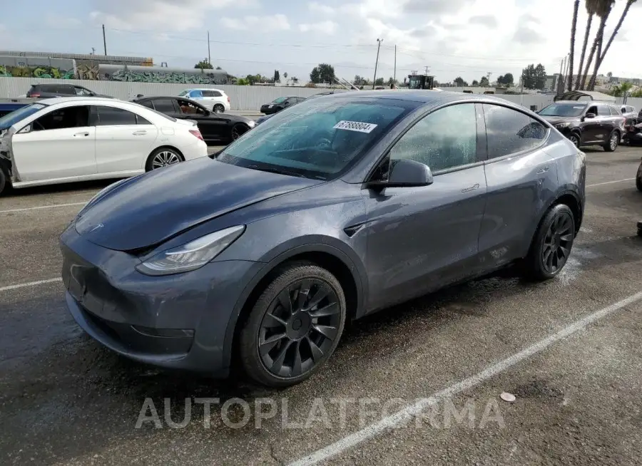 TESLA MODEL Y 2023 vin 7SAYGDEE6PA030576 from auto auction Copart