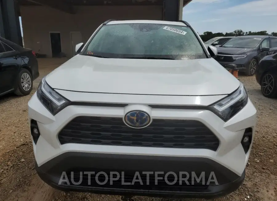 TOYOTA RAV4 XLE P 2024 vin 2T3B6RFVXRW050900 from auto auction Copart