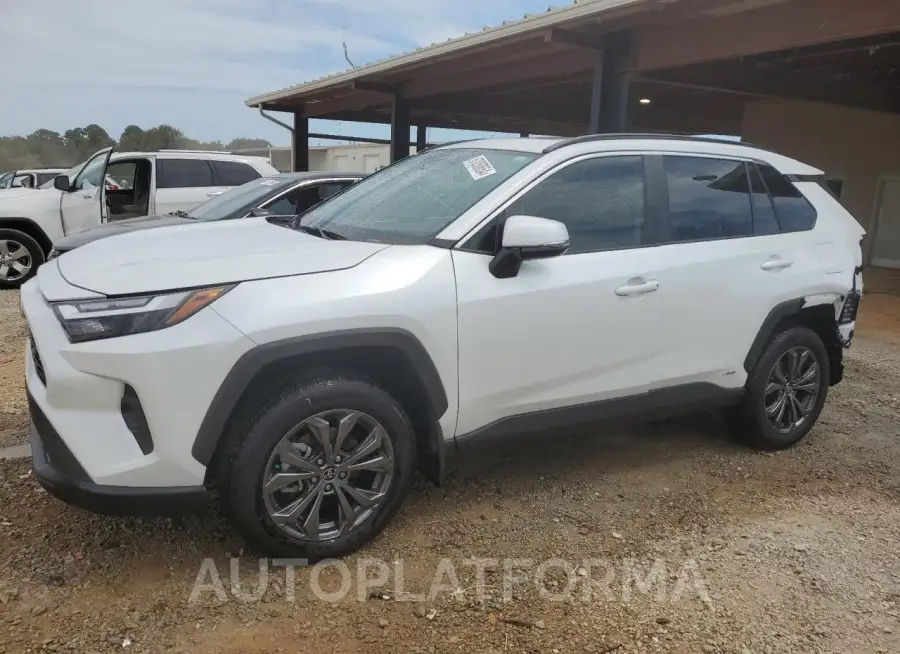 TOYOTA RAV4 XLE P 2024 vin 2T3B6RFVXRW050900 from auto auction Copart