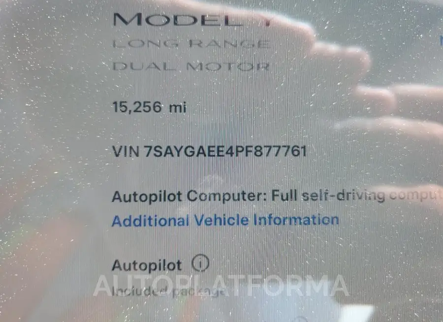 TESLA MODEL Y 2023 vin 7SAYGAEE4PF877761 from auto auction Copart