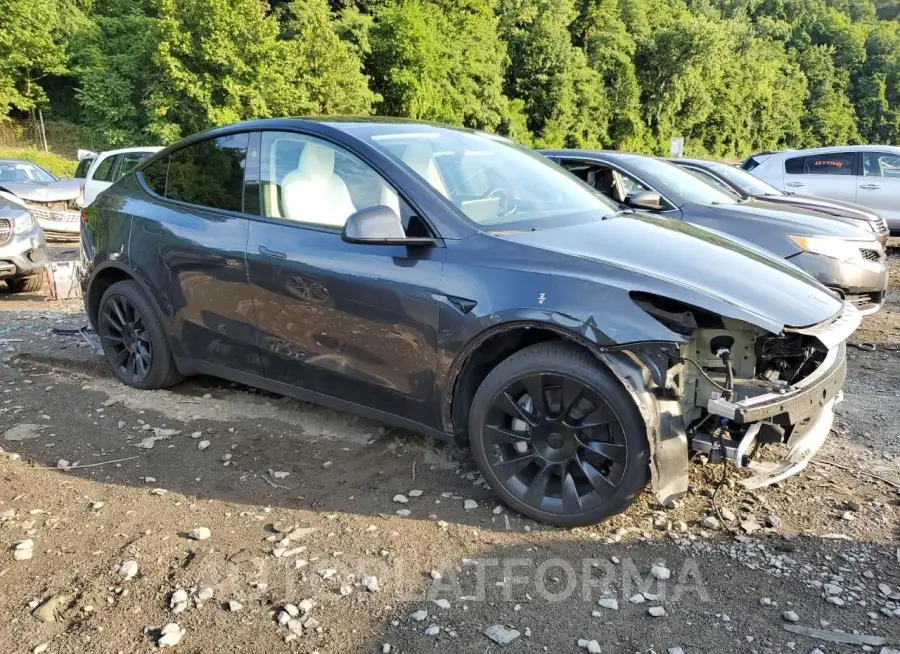 TESLA MODEL Y 2024 vin 7SAYGDEE3RA233282 from auto auction Copart