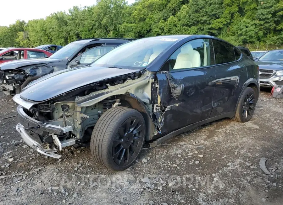 TESLA MODEL Y 2024 vin 7SAYGDEE3RA233282 from auto auction Copart