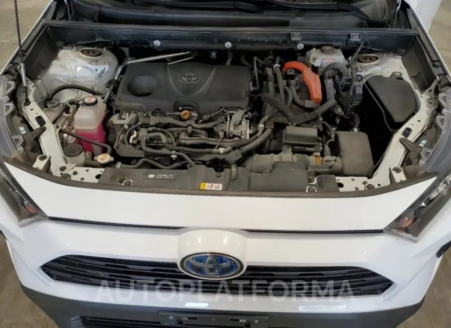 TOYOTA RAV4 LE 2019 vin 2T3LWRFV0KW023053 from auto auction Copart