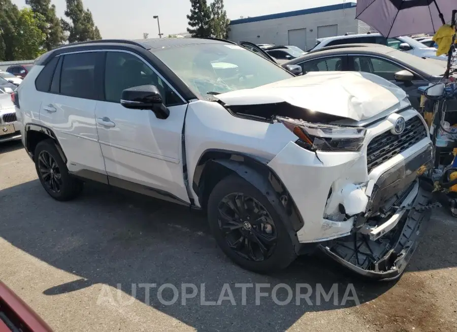 TOYOTA RAV4 XSE 2024 vin JTME6RFV5RD551106 from auto auction Copart