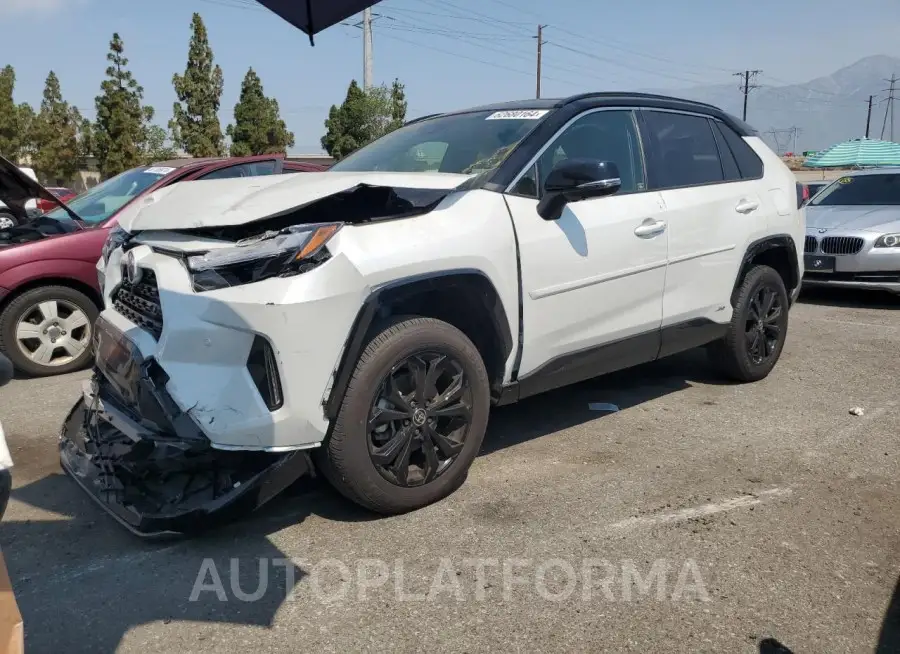 TOYOTA RAV4 XSE 2024 vin JTME6RFV5RD551106 from auto auction Copart