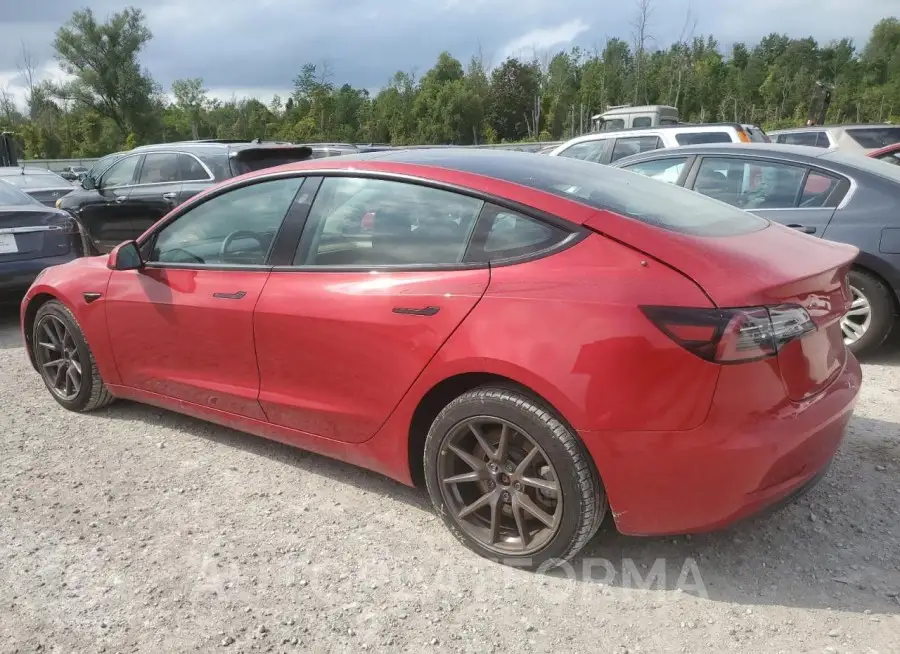 TESLA MODEL 3 2021 vin 5YJ3E1EB0MF974454 from auto auction Copart