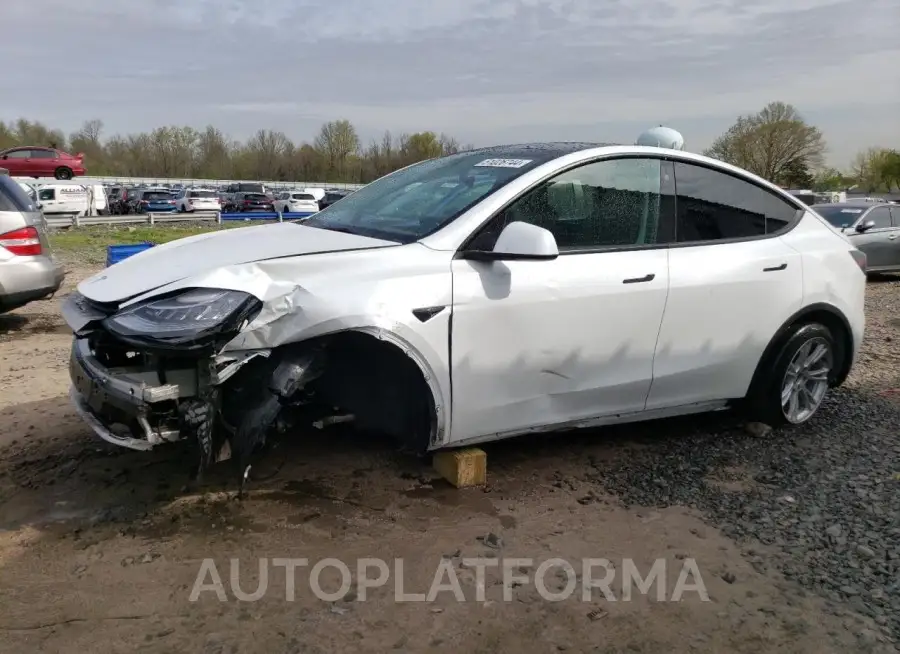 TESLA MODEL Y 2021 vin 5YJYGAEE5MF196727 from auto auction Copart