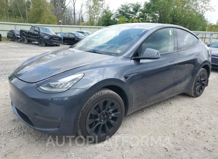 TESLA MODEL Y 2023 vin 7SAYGDEE8PA051543 from auto auction Copart