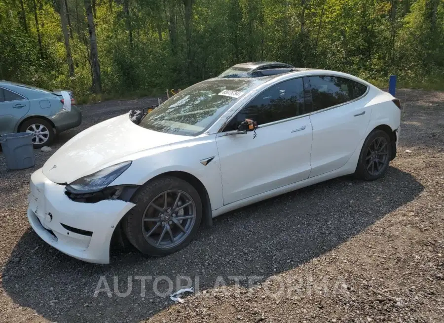 TESLA MODEL 3 2019 vin 5YJ3E1EA7KF487725 from auto auction Copart