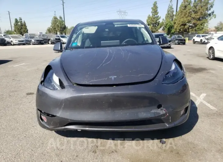 TESLA MODEL Y 2023 vin 7SAYGDEE5PA205576 from auto auction Copart