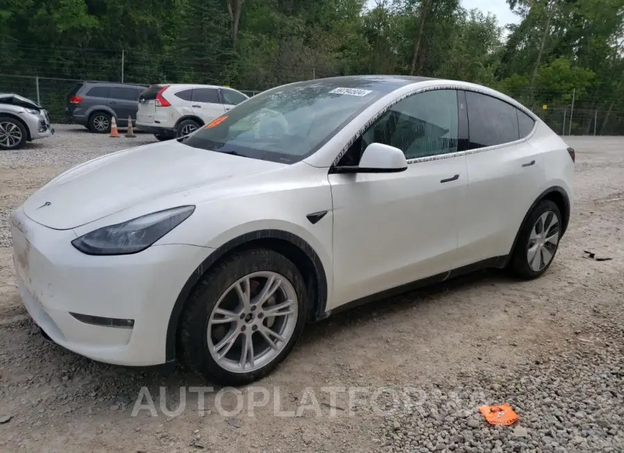 TESLA MODEL Y 2023 vin 7SAYGDEE9PF869947 from auto auction Copart