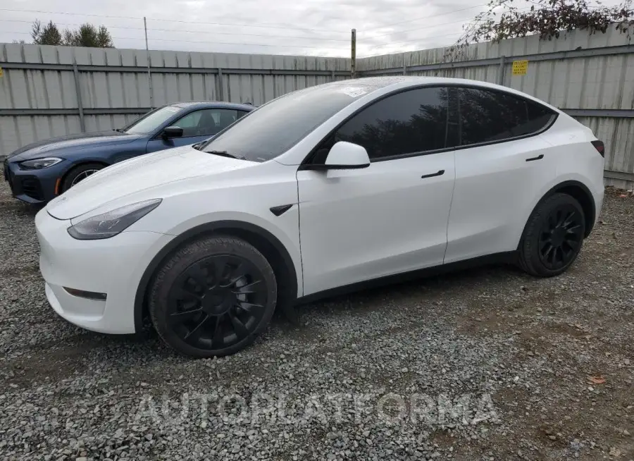 TESLA MODEL Y 2023 vin 7SAYGDEEXPF807215 from auto auction Copart