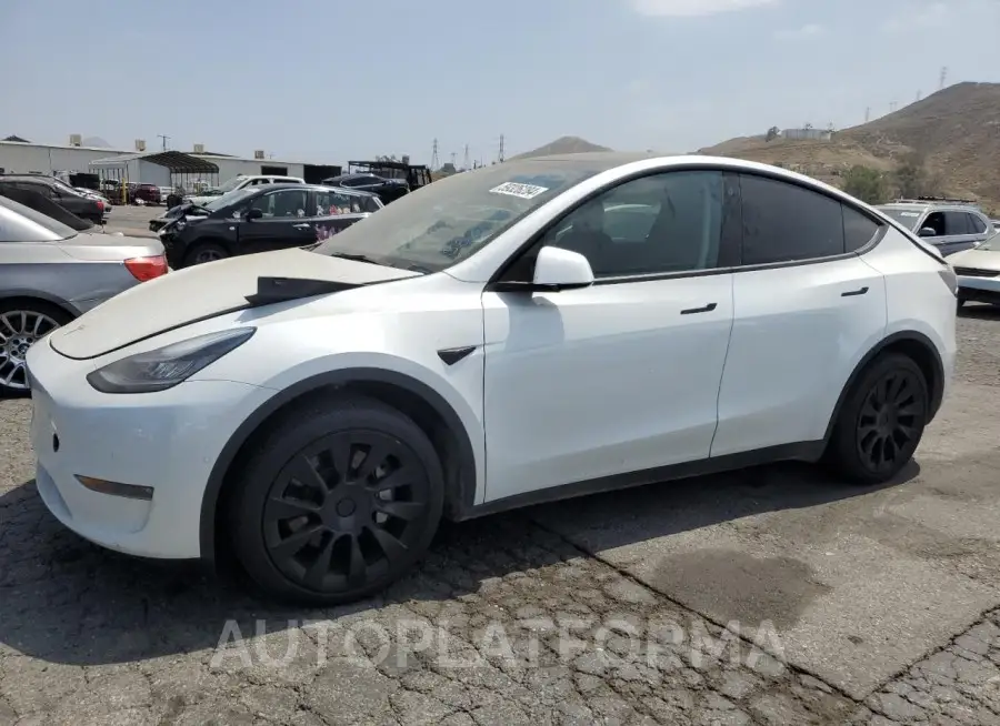 TESLA MODEL Y 2023 vin 7SAYGAEE0PF586447 from auto auction Copart