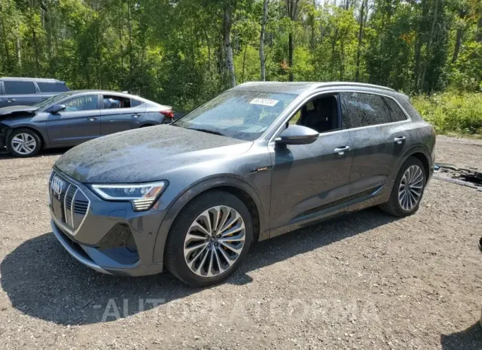 AUDI E-TRON CHR 2022 vin WA1VAAGE3NB044168 from auto auction Copart