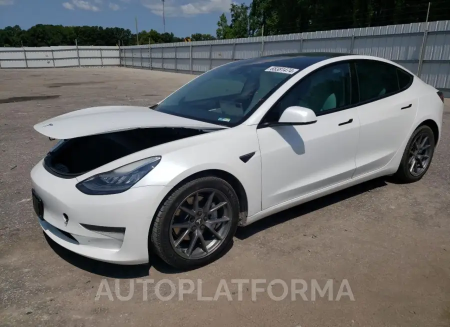 TESLA MODEL 3 2021 vin 5YJ3E1EA2MF851844 from auto auction Copart