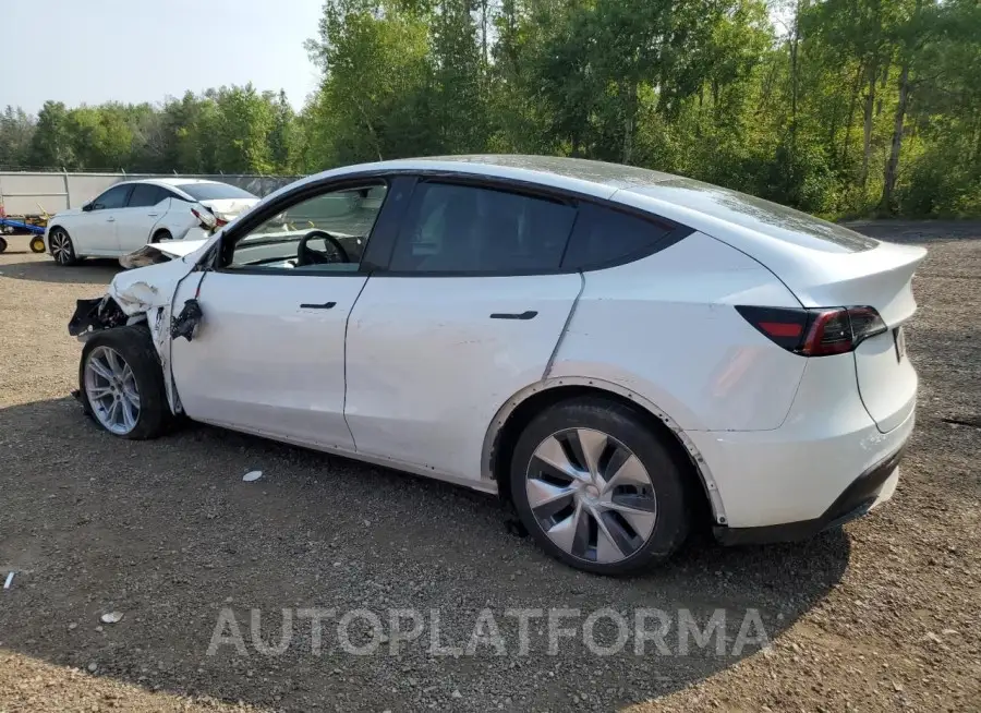 TESLA MODEL Y 2023 vin 7SAYGDEE4PF603140 from auto auction Copart