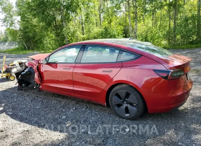 TESLA MODEL 3 2021 vin 5YJ3E1EA4MF853918 from auto auction Copart