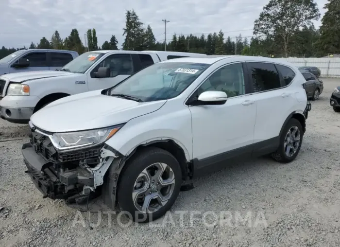 HONDA CR-V EXL 2019 vin 5J6RW2H86KA020305 from auto auction Copart