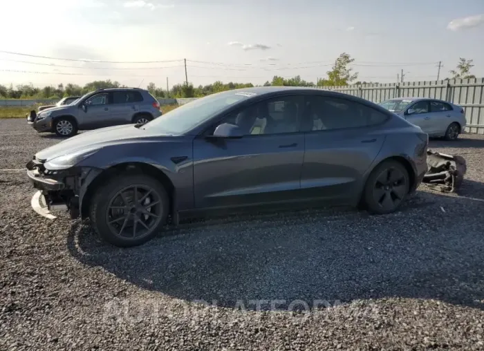 TESLA MODEL 3 2021 vin 5YJ3E1EA5MF938525 from auto auction Copart