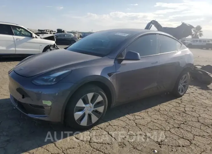 TESLA MODEL Y 2023 vin 7SAYGDEE2PF685711 from auto auction Copart