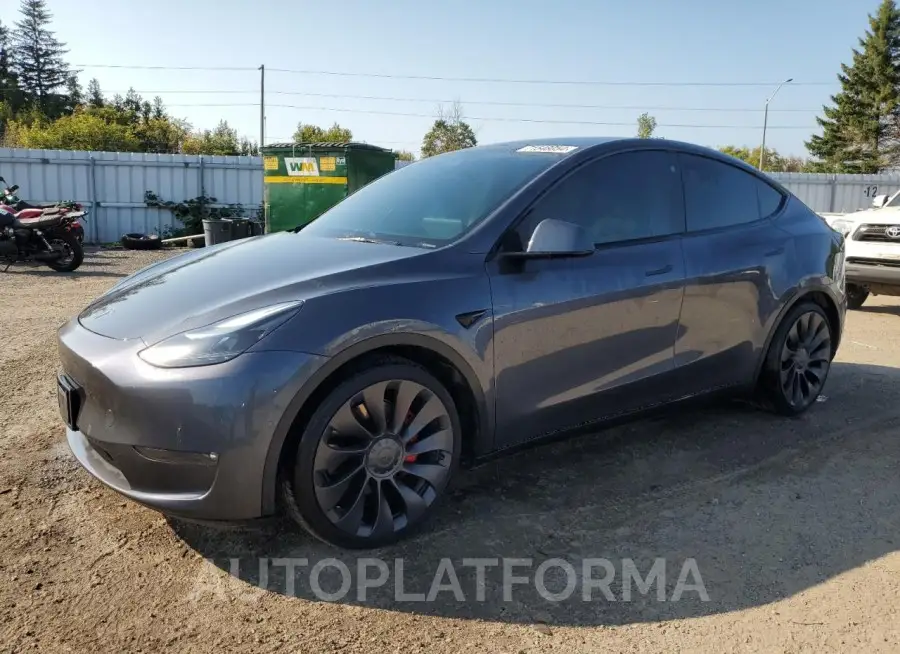 TESLA MODEL Y 2022 vin 7SAYGDEF3NF521115 from auto auction Copart