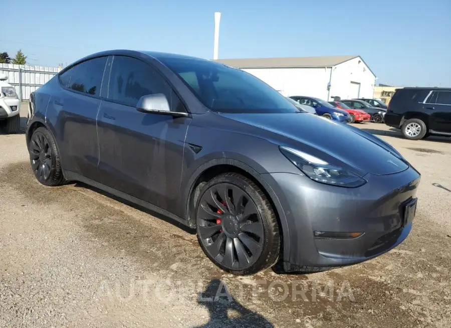 TESLA MODEL Y 2022 vin 7SAYGDEF3NF521115 from auto auction Copart