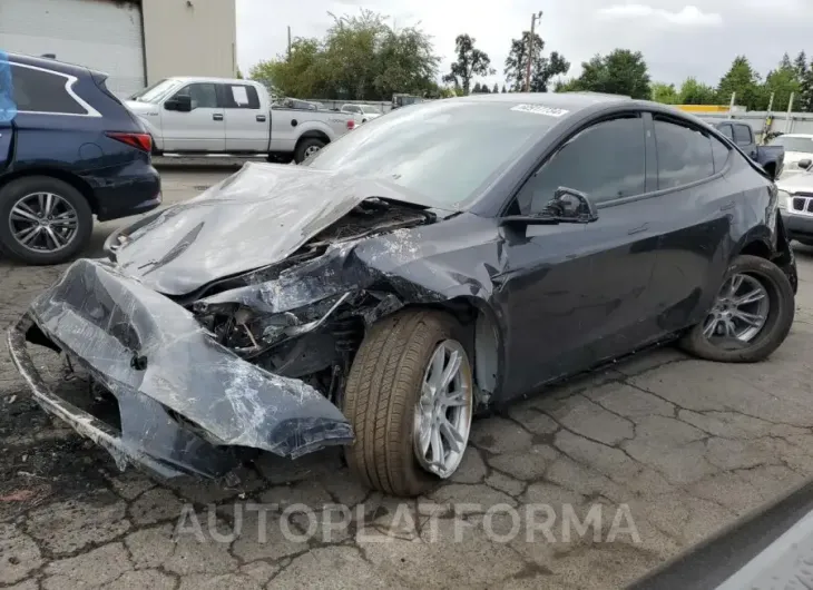 TESLA MODEL Y 2024 vin 7SAYGDEE8RF083009 from auto auction Copart