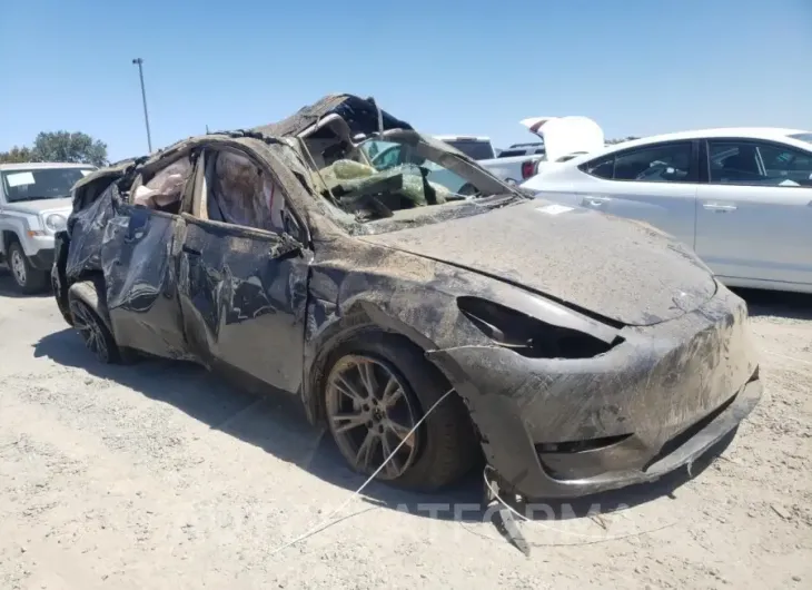 TESLA MODEL Y 2024 vin 7SAYGDEE0RF123227 from auto auction Copart