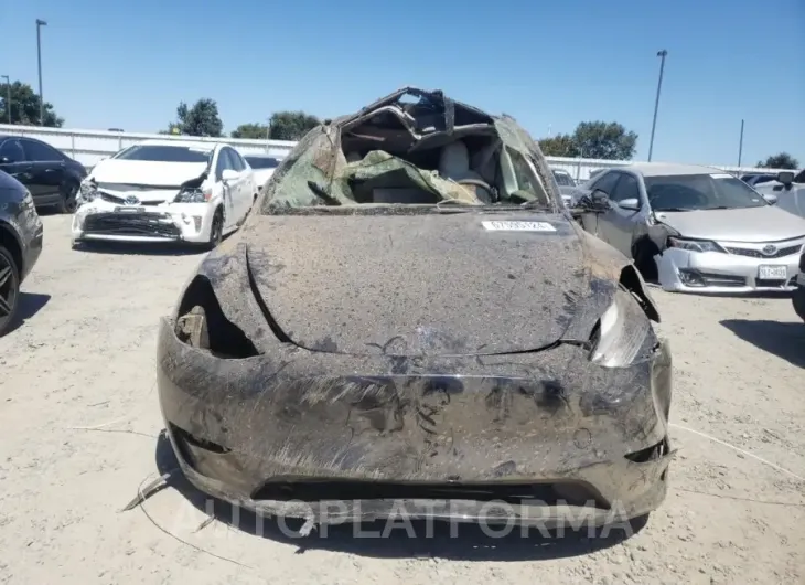 TESLA MODEL Y 2024 vin 7SAYGDEE0RF123227 from auto auction Copart