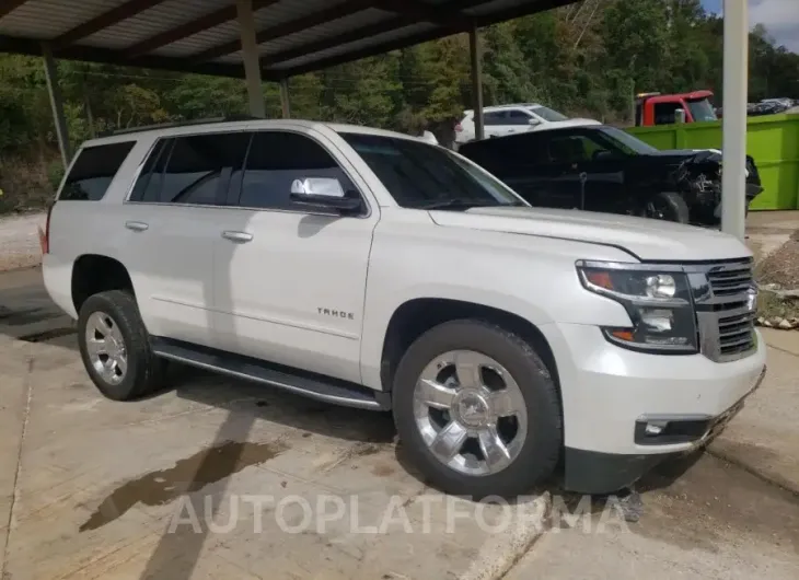 CHEVROLET TAHOE C150 2019 vin 1GNSCCKC9KR318505 from auto auction Copart