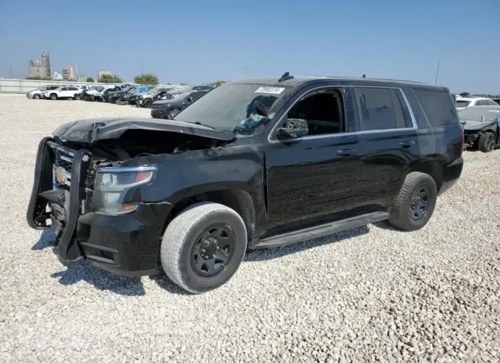 CHEVROLET TAHOE POLI 2019 vin 1GNLCDEC7KR316354 from auto auction Copart