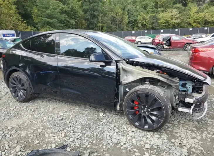 TESLA MODEL Y 2022 vin 7SAYGDEF1NF516446 from auto auction Copart