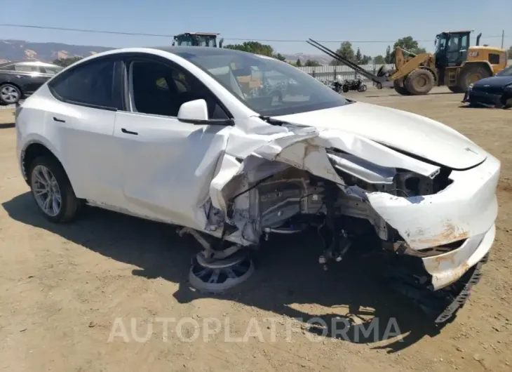 TESLA MODEL Y 2023 vin 7SAYGDEE5PF861196 from auto auction Copart