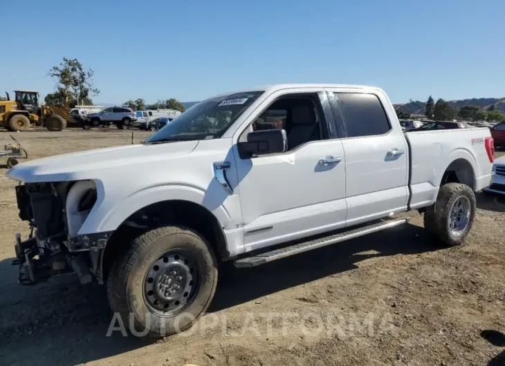 FORD F150 SUPER 2023 vin 1FTFW1ED3PFA33933 from auto auction Copart