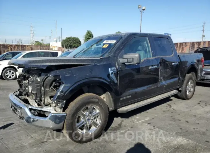 FORD F150 XLT 2024 vin 1FTFW3LD1RFA75938 from auto auction Copart