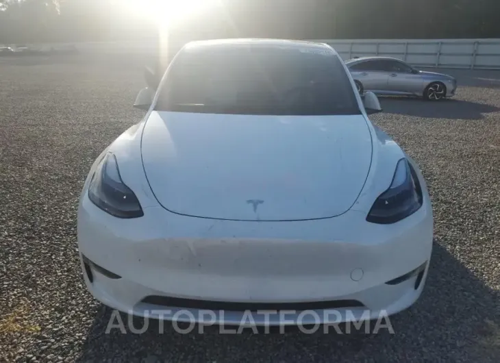 TESLA MODEL Y 2024 vin 7SAYGDEF9RA278008 from auto auction Copart