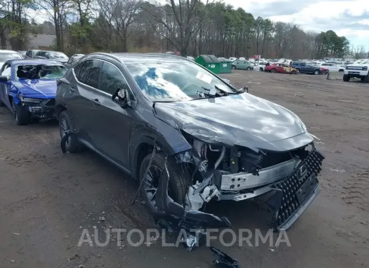 LEXUS NX 250 2022 vin 2T2ADCAZXNC002130 from auto auction Iaai