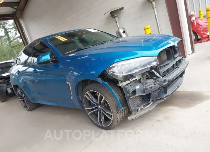 BMW X6 M 2015 vin 5YMKW8C55F0G93874 from auto auction Iaai