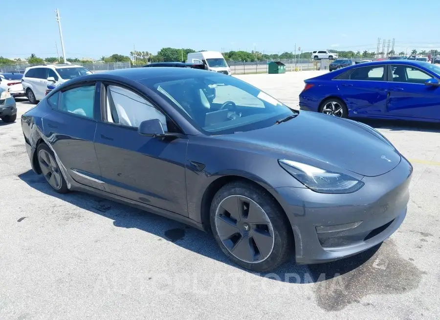 TESLA MODEL 3 2023 vin 5YJ3E1EA0PF407818 from auto auction Iaai