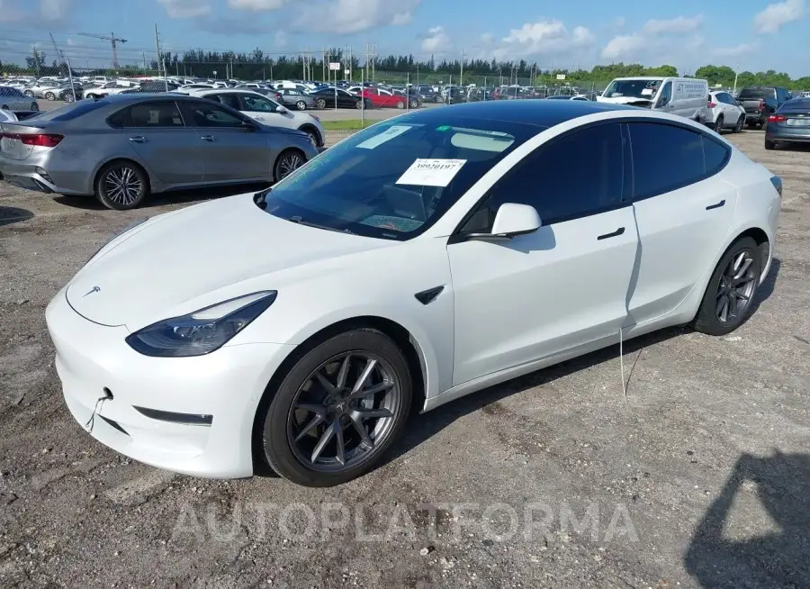 TESLA MODEL 3 2021 vin 5YJ3E1EA2MF923447 from auto auction Iaai