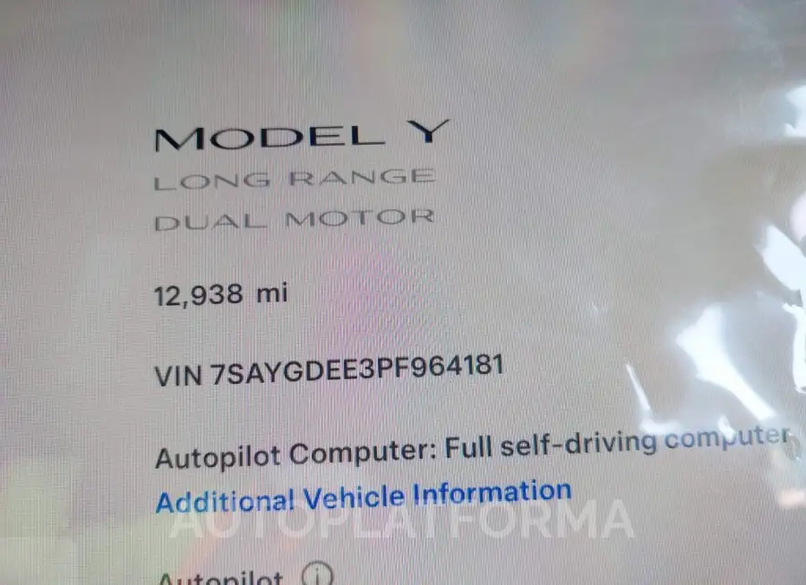 TESLA MODEL Y 2023 vin 7SAYGDEE3PF964181 from auto auction Iaai