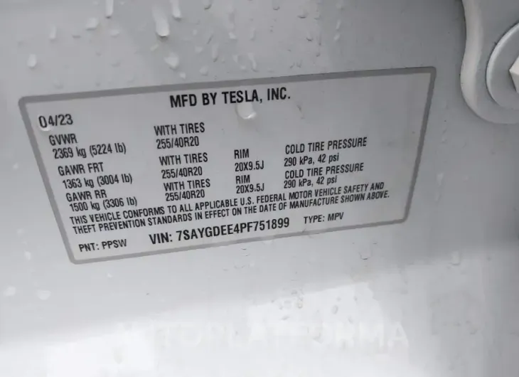 TESLA MODEL Y 2023 vin 7SAYGDEE4PF751899 from auto auction Iaai