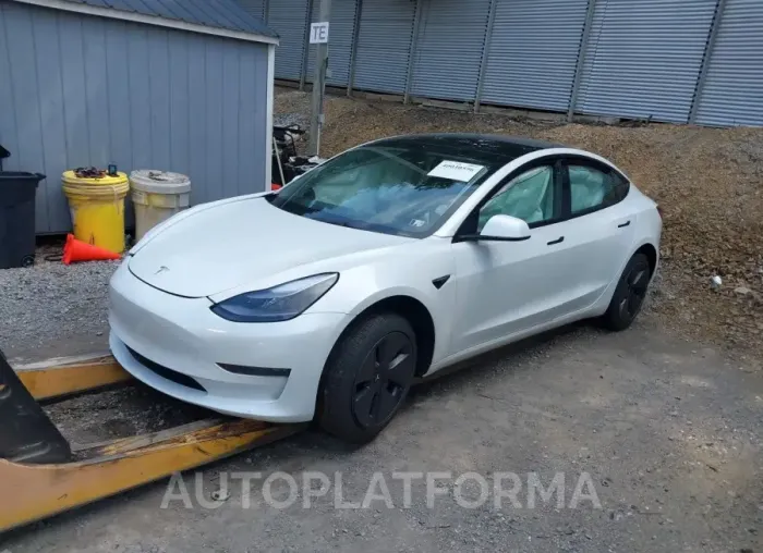 TESLA MODEL 3 2023 vin 5YJ3E1EA4PF432916 from auto auction Iaai