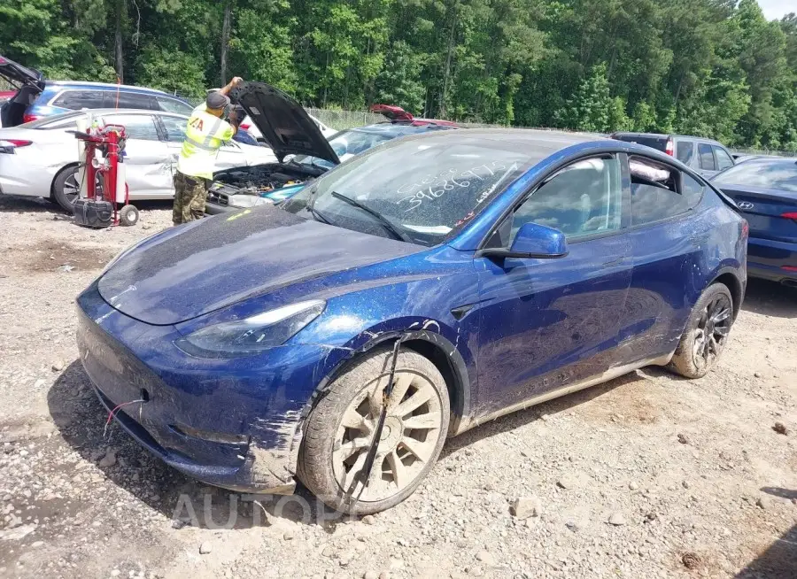 TESLA MODEL Y 2023 vin 7SAYGDEE2PF607672 from auto auction Iaai