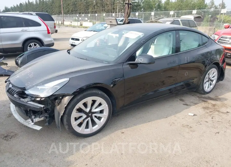 TESLA MODEL 3 2022 vin 5YJ3E1EB1NF204197 from auto auction Iaai